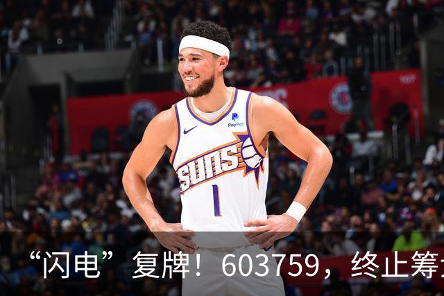 “闪电”复牌!603759,终止筹划重大事项