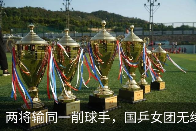 两将输同一削球手，国乒女团无缘冠军，战胜削球手让我想起了这两人
