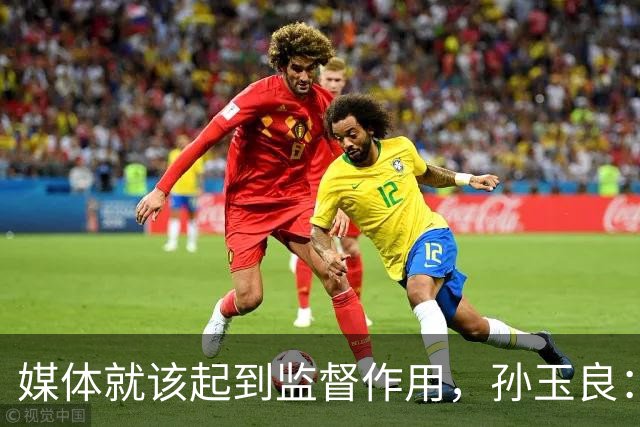 媒体就该起到监督作用,孙玉良:需要唱赞歌,请把这个权利给人民