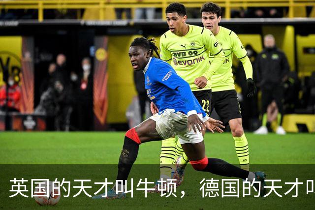 英国的天才叫牛顿,德国的天才叫爱因斯坦,那中国的天才叫什么?